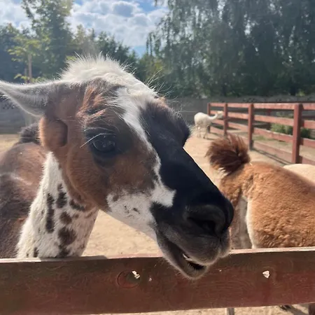 בית נופש Rzeczny Zakatek Nad Wkra