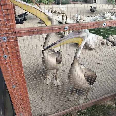 Rzeczny Zakatek Nad Wkra *