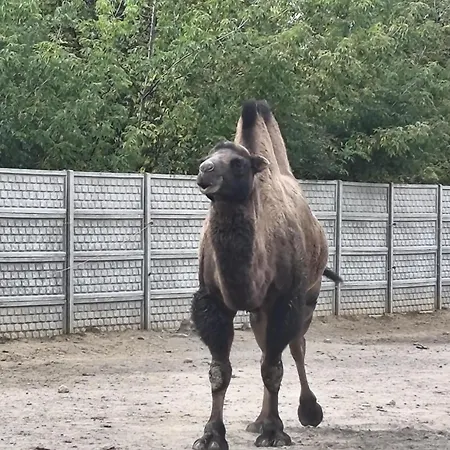 Rzeczny Zakatek Nad Wkra Casa de Férias Kosewko (Nowy Dwor)