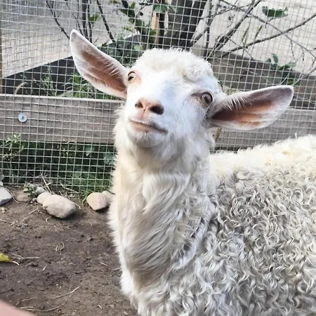 Rzeczny Zakatek Nad Wkra Casa de Férias *
