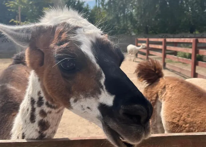 Дом отдыха Rzeczny Zakatek Nad Wkra
