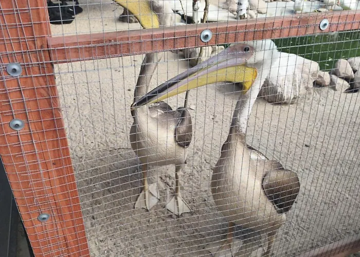 Rzeczny Zakatek Nad Wkra *