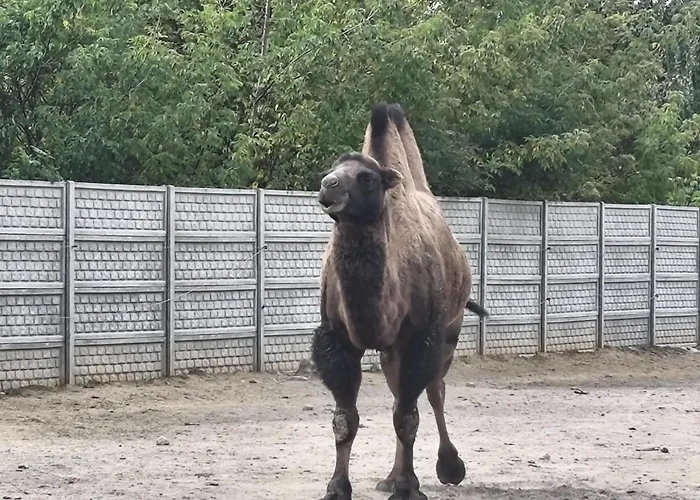 Rzeczny Zakatek Nad Wkra Ferienhaus Kosewko (Nowy Dwor)