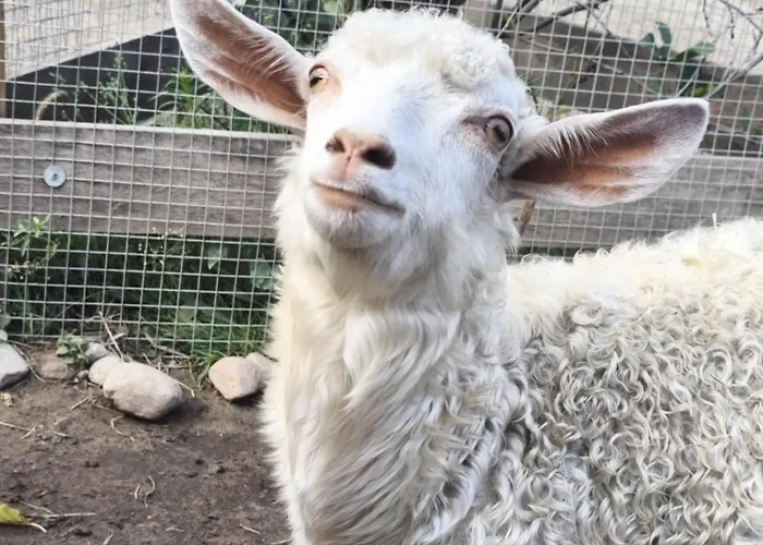 Rzeczny Zakatek Nad Wkra Дом отдыха *