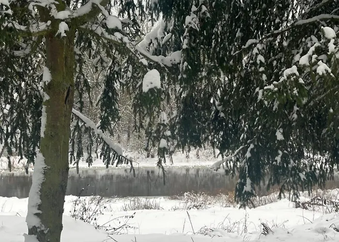 Rzeczny Zakatek Nad Wkra Kosewko (Nowy Dwor)